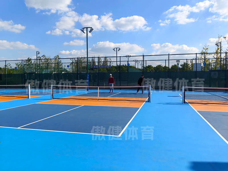 0627傲健匹克球场图片